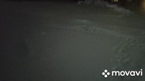 13 декабря метель,деревья летают