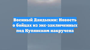 Военный Дандыкин: Новость о бойцах из экс-заключенных под Купянском накручена