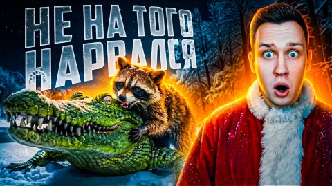 Когда животные связались не с тем соперником