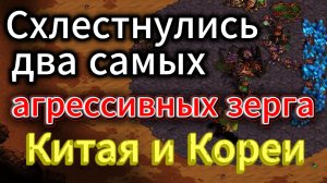 Зерг против зерга. Это как ножевая драка в телефонной будке. Китай против Кореи - Старкрафт Брудвар