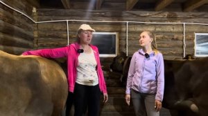 Чёрная полоса. Потеря животных. Самый сложный видеоролик для нас. Молодая Ферма