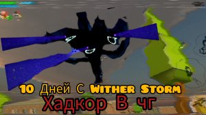 ☠️😱10 ДНЕЙ С ВИЗЕР ШТОРМОМ