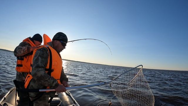 О,Судак давит, давит!!! Смотреть до конца !# приколырабалки#улов#
