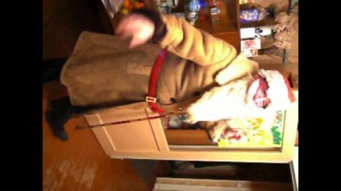 Танцуют все