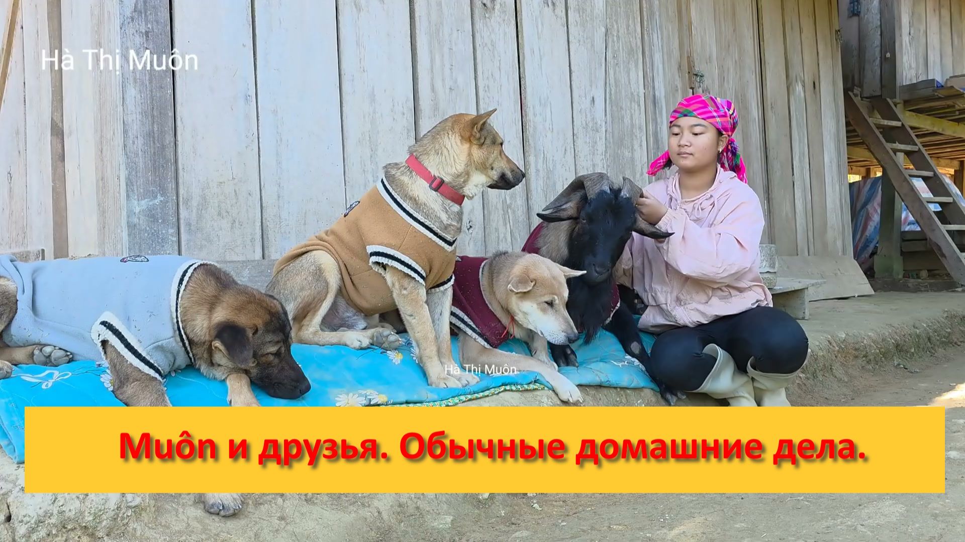 Muôn и друзья из Вьетнама. Обычные домашние дела.
