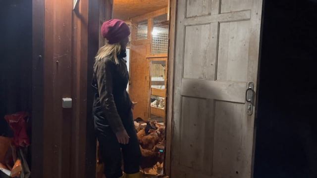 Собираюсь в отпуск. Кто будет Помогать маме? Куда на этот раз! | Молодая Ферма