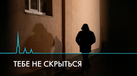 Тебе не скрыться. Сталкеры и их жертвы