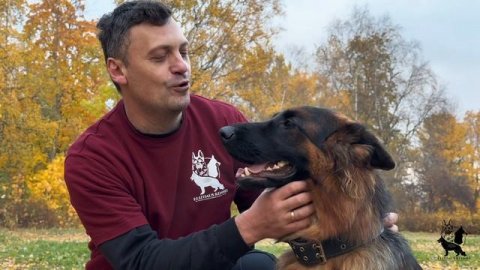 Питомник немецкой овчарки рабочих и "шоу" линий "ЭЛИЗХАУС"