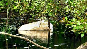 Пена на реке