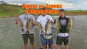 Палтус из Залива Сан - Франциско и Ловля Окуня из Озера Берриесса