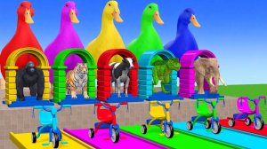 Веселые игры с слоном, гориллой, бегемотом, тигром - 3D игра с животными - Забавные 3D животные