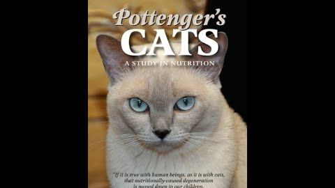 Pottenger's Cats — A Study in Nutrition (on Future Generations)