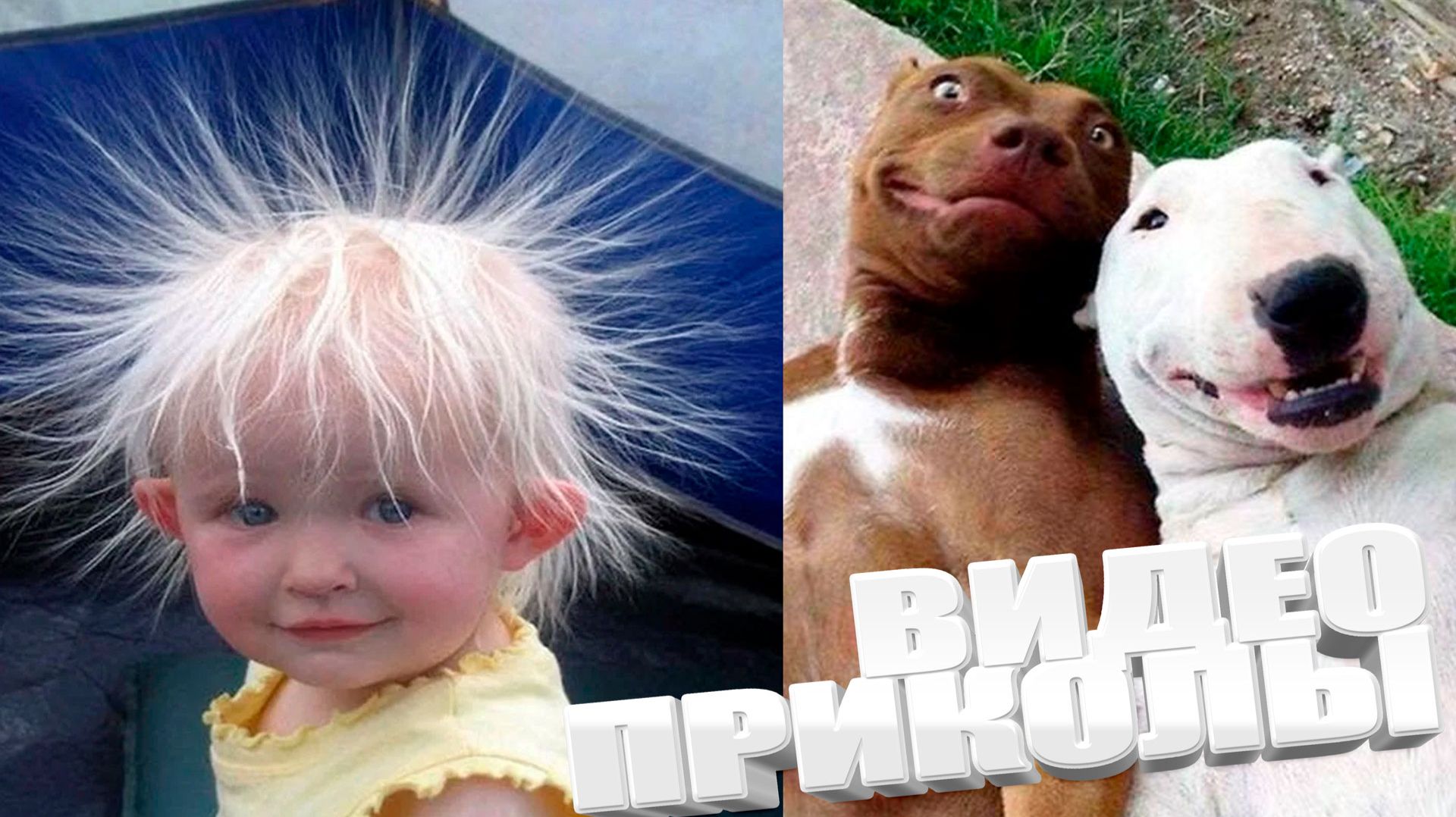 ЛУЧШИЕ ПРИКОЛЫ 2025 | ПРИКОЛЫ 2025 | СВЕЖИЕ ПРИКОЛЫ 2025 | РЖУ НЕ МОГУ |