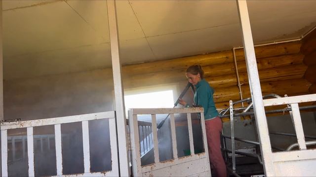 Подготавливаю свинарник к приезду новых жителей! Уход за нашими животными! Бьем масло, варим сыр!