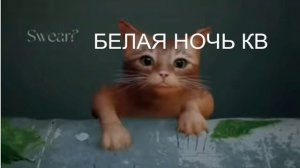 СТРЕЙ \эдит\