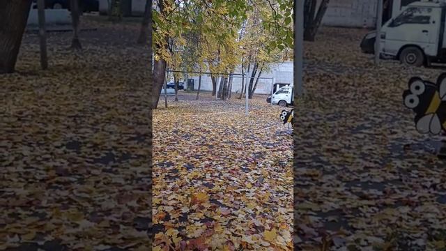 Денежная практика ☀️ Примите поток!