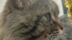 важное видео