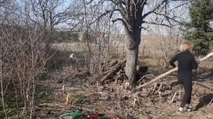Как я расчищала участок в деревенском доме!