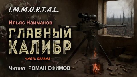 I.M.M.O.R.T.A.L. Главный калибр (аудиокнига). Часть 1. ПОСТАПОКАЛИПСИС. Читает Роман Ефимов.