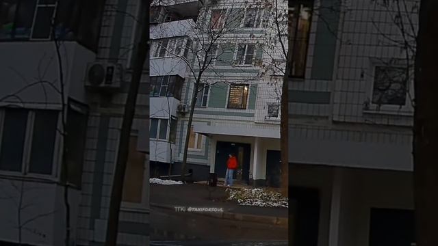 МИР ВИДЕО ДЛЯ ГЛУХИХ 13 ДЕКАБРЯ 1ЧАСТЬ! МОЛОДЕЦ СИРИУС 🎖️!👍🥂