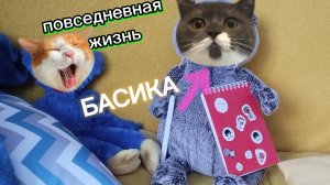 ПОВСЕДНЕВНАЯ жизнь Басика🥳🥳🥳
