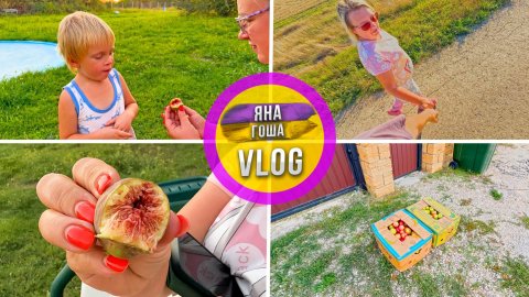 Сосед принес подарок! Мы вырастили свой первый инжир! Осенью Крыму еще лето!