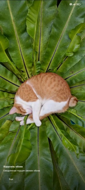 Ответы на вопросы
(внимание мне 10 лет и я болелю простите за голос)