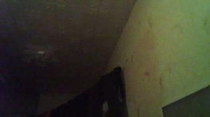 🦊что возьму гулять на завтра 🐻