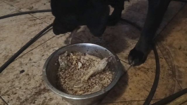 МУКБАНГ. САМЫЙ МЕРЗСКИЙ КОНТЕНТ.