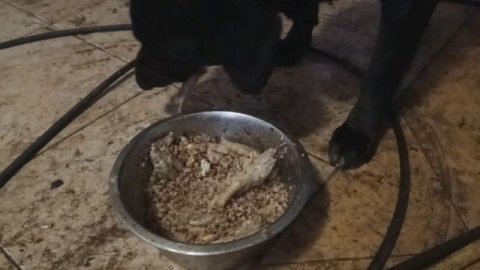 МУКБАНГ. САМЫЙ МЕРЗСКИЙ КОНТЕНТ.