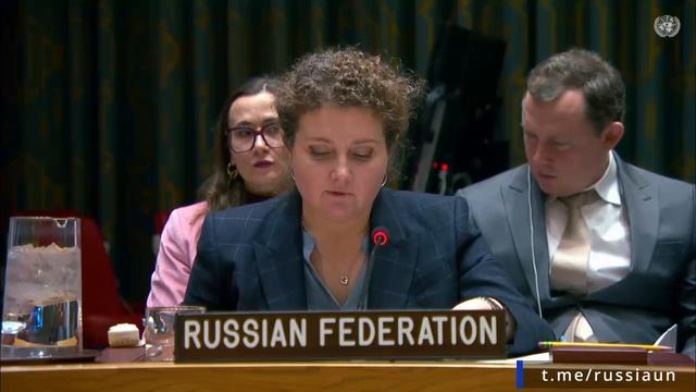 А.М.Евстигнеева в ООН по санкциям в отношении «Аш-Шабаб», Нью-Йорк, 12 декабря 2025 года