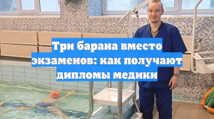 Три барана вместо экзаменов: как получают дипломы медики