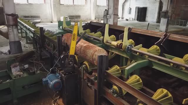 Линия раскряжевки бревен