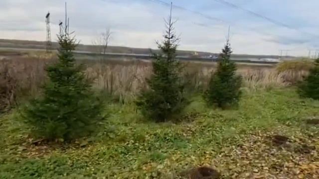 Промзона, промзона, промзона