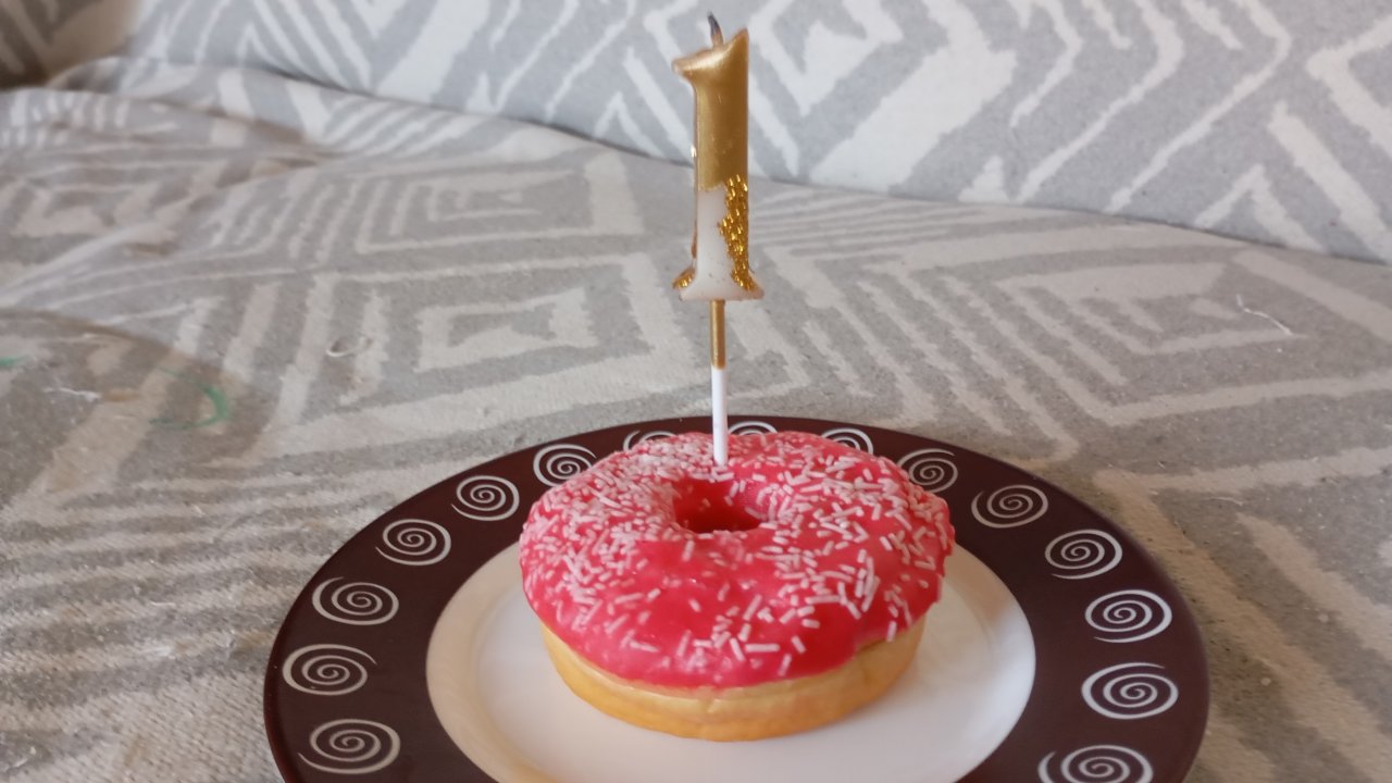 День рождения канала студия капибар!!!