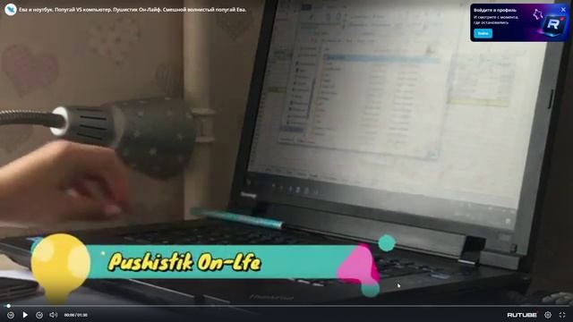 как папугай мешает работать