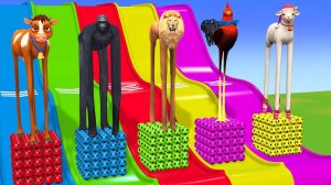 Веселые игры с слоном, гориллой, бегемотом, тигром - 3D игра с животными - Забавные 3D животные