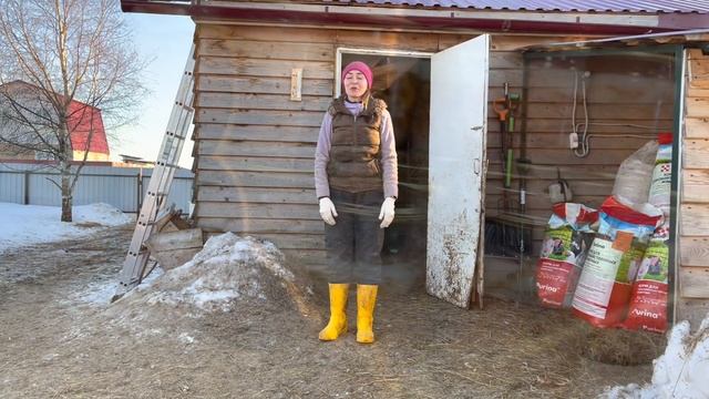 Переработка мяса, Новые Жители и прелести Деревенской Жизни | Молодая Ферма