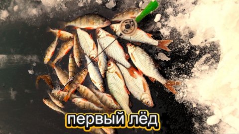 НАКОНЕЦ-ТО И У НАС ПЕРВЫЙ ЛЁД)