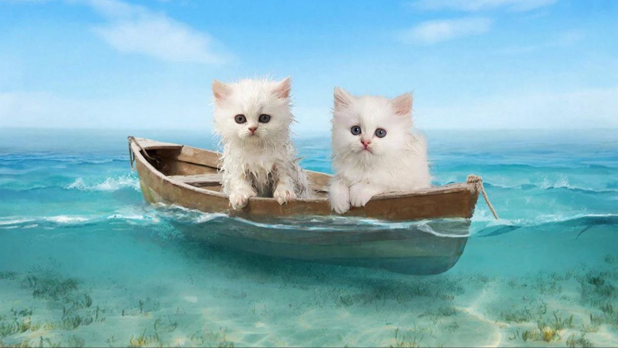 РАЗВЛЕКАТЕЛЬНОЕ ВИДЕО ДЛЯ ДЕТЕЙ