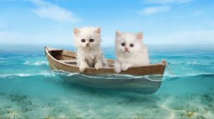 РАЗВЛЕКАТЕЛЬНОЕ ВИДЕО ДЛЯ ДЕТЕЙ