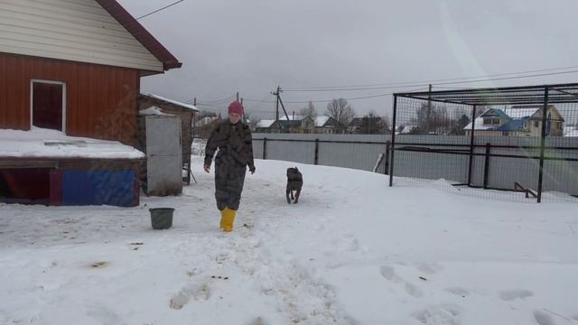 Мой день в деревне с животными! Справлюсь ли? | Молодая Ферма