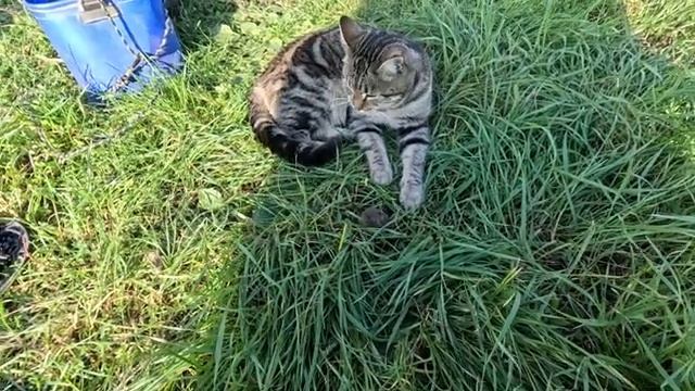 Активный клёв карпа в зимнее время года