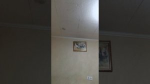 зомбы вампира