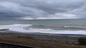 Зимняя Сочинская погода перед Новым годом