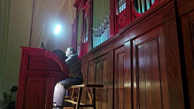 Камиль Сен-Санс`Карнавал животных` - Кенгуру