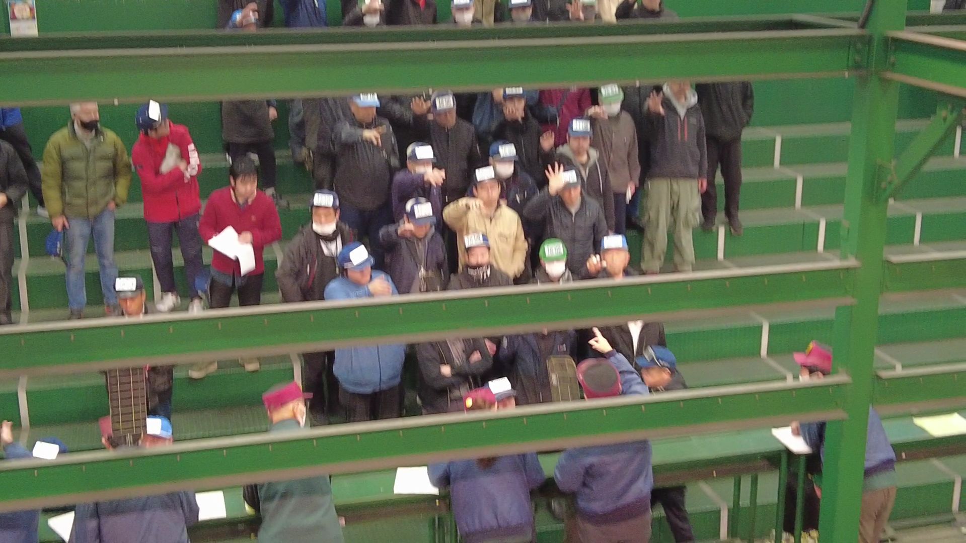 Ota Wholesale Market in Kawasaki (region Tokyo) 28.11.2025