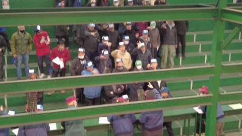 Ota Wholesale Market in Kawasaki (region Tokyo) 28.11.2025