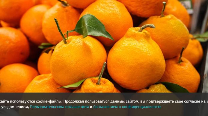 Нутрициолог назвал оптимальную дневную норму мандаринов в зимний период