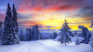 Пожелания от Снеговика